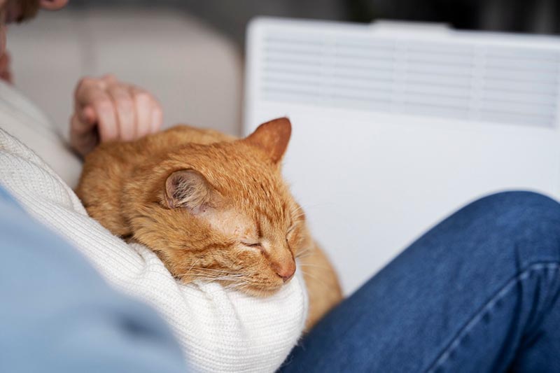 jak-dobrac-stacje-uzdatniania-wody-do-domu-jednorodzinnego-w-poznaniu